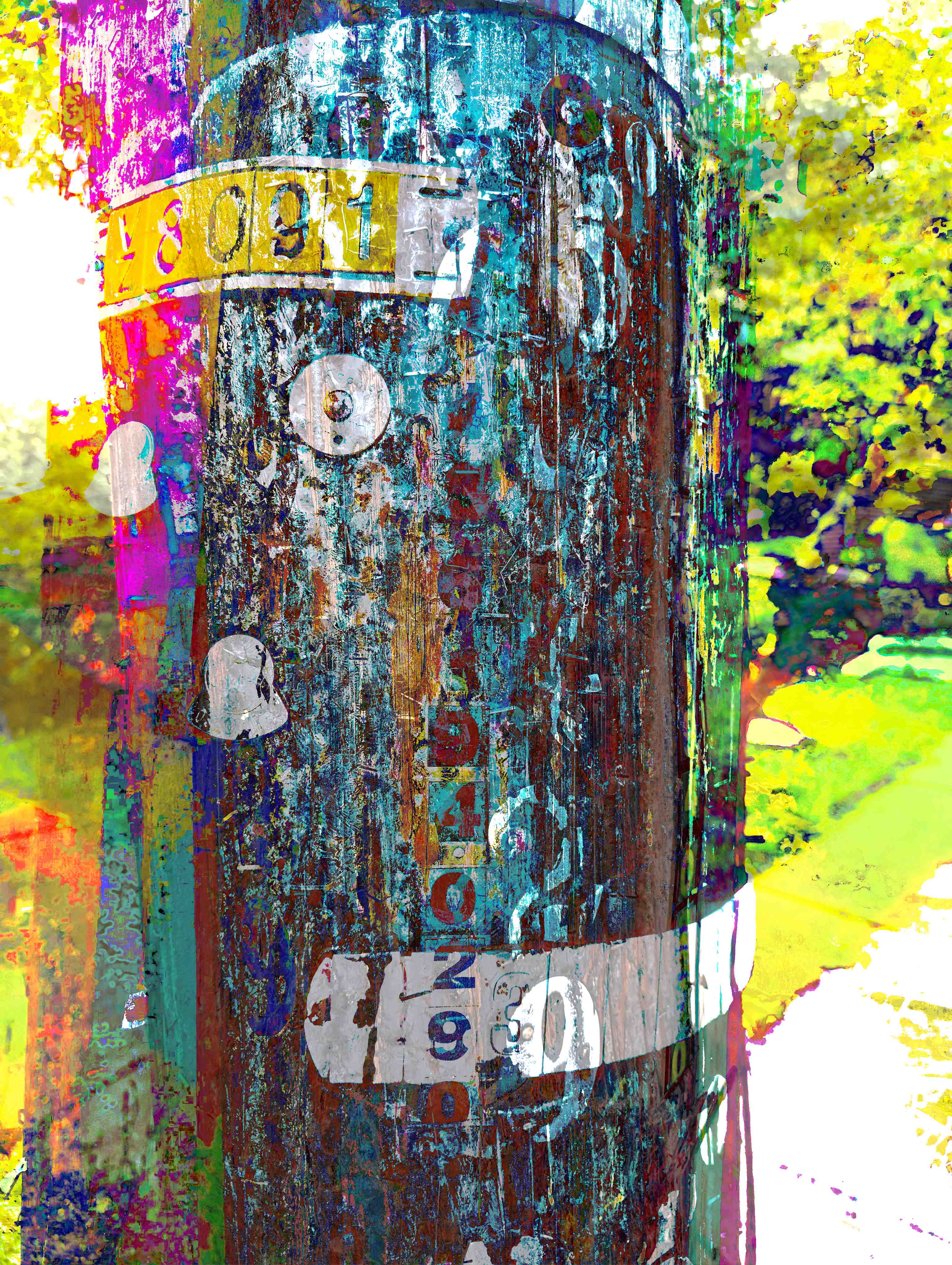 Neon collage of neighborhood utility poles with numbers, staples, and weathered wood