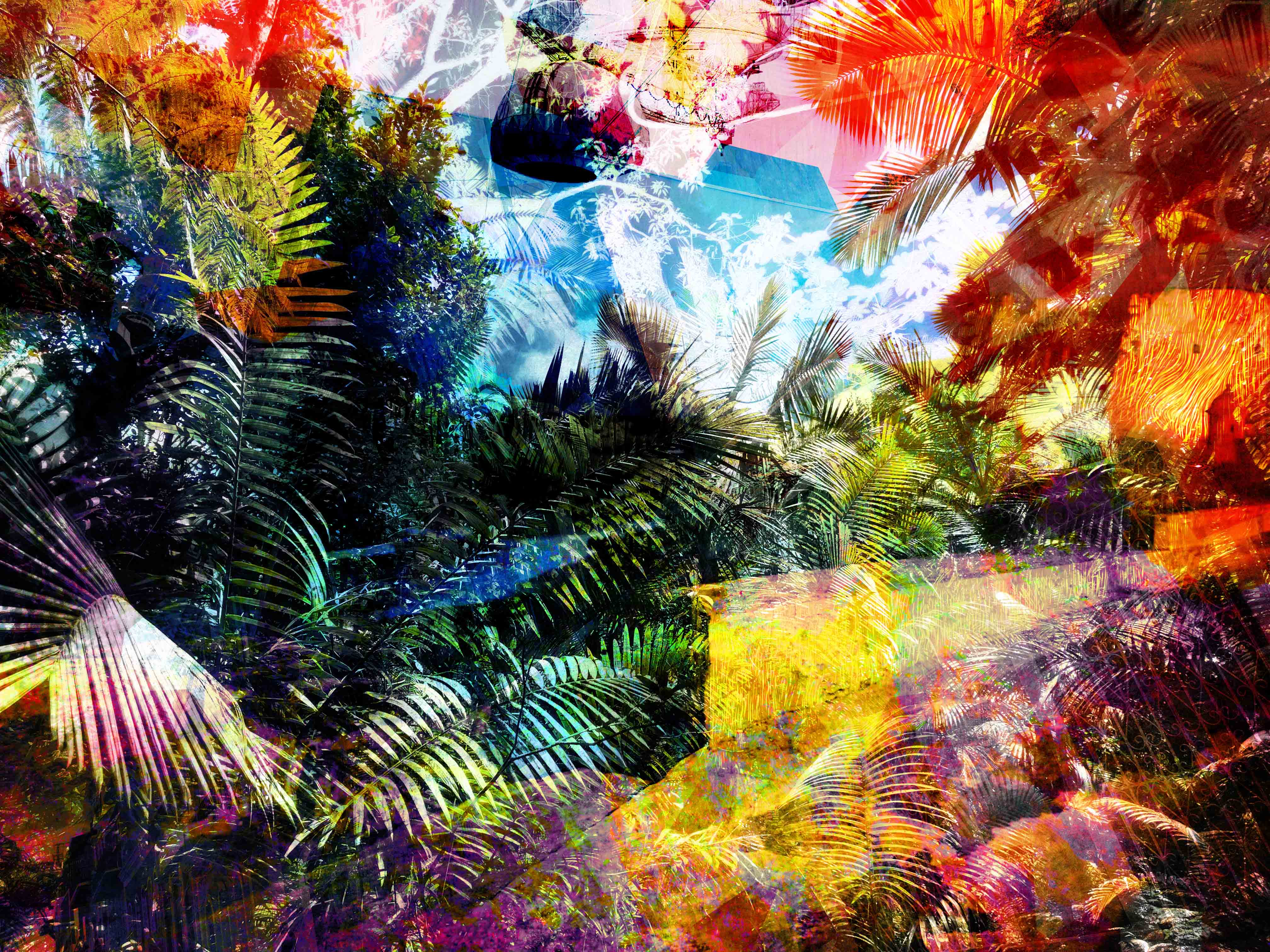 A scene depicting my travels on the island of Puerto Rico