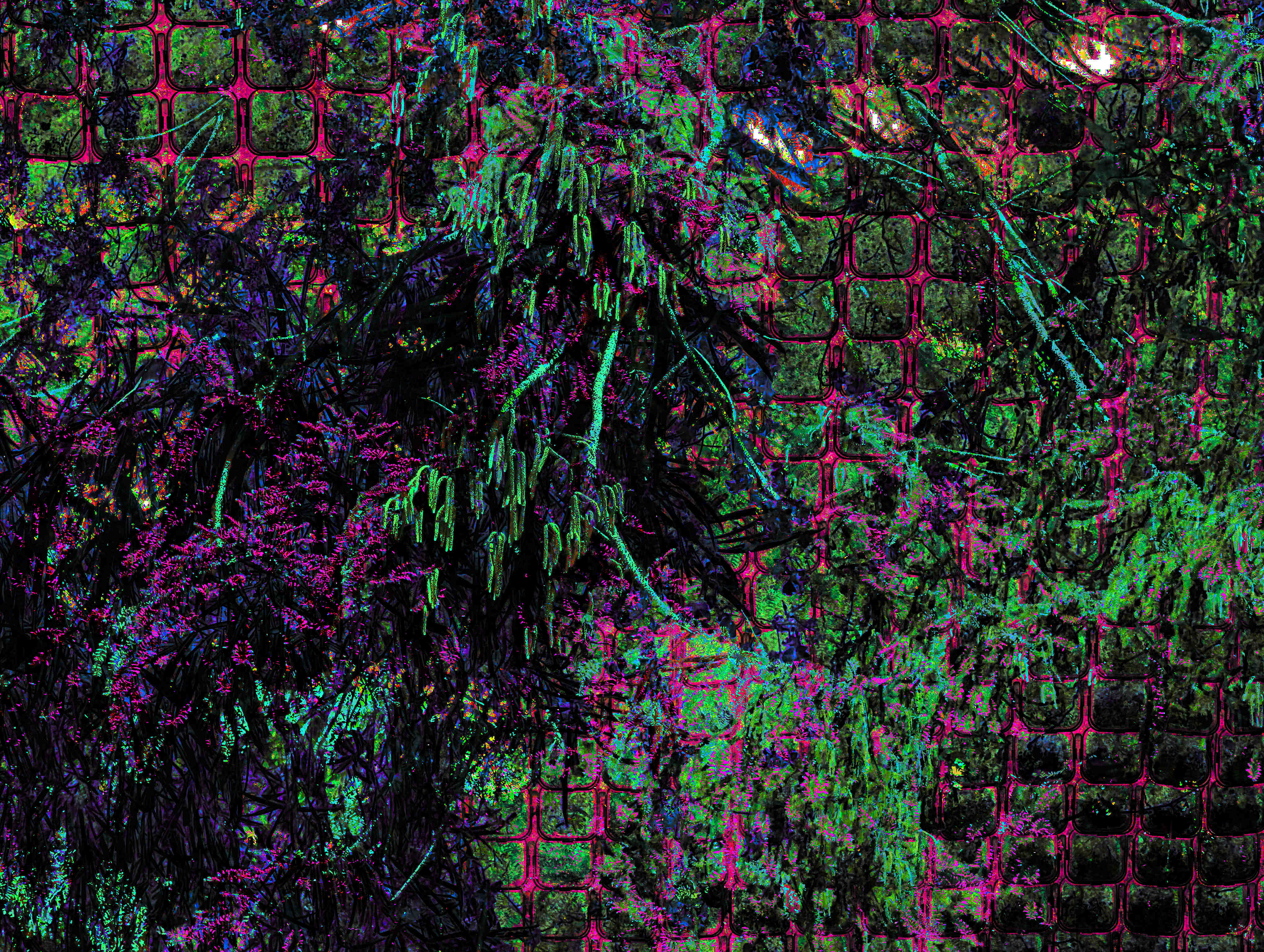 small plants grow in a vertical space against a wall, contrasted against a massive tree