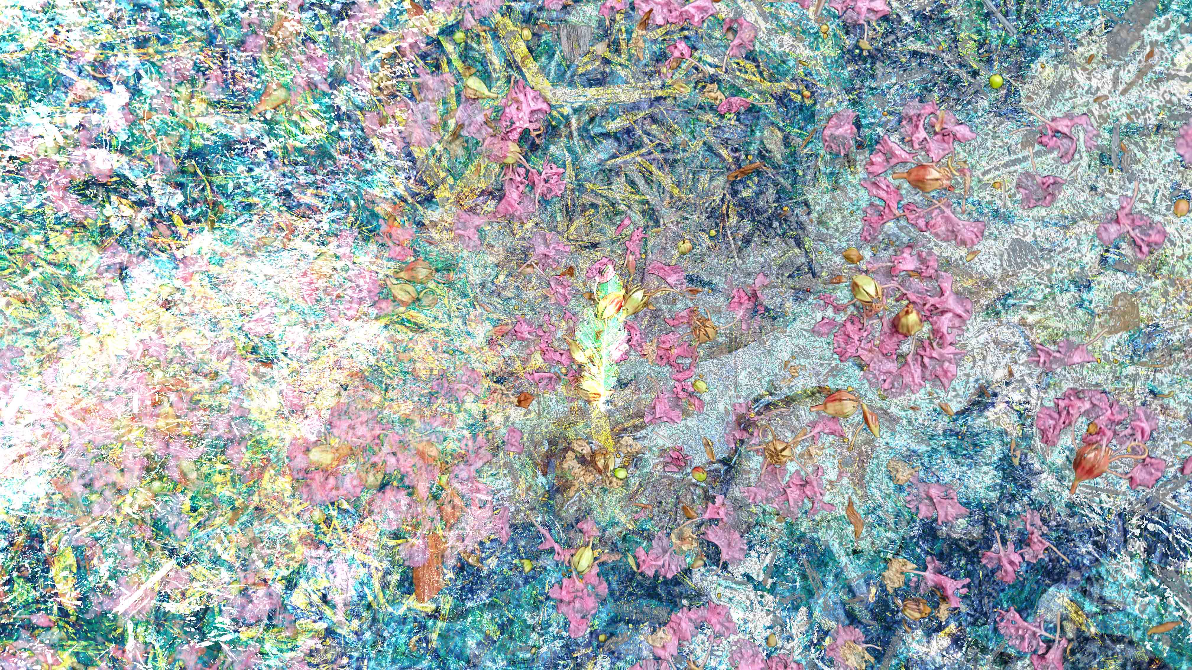 several photos of a washed out wildscape combined in an abstract impressionist style