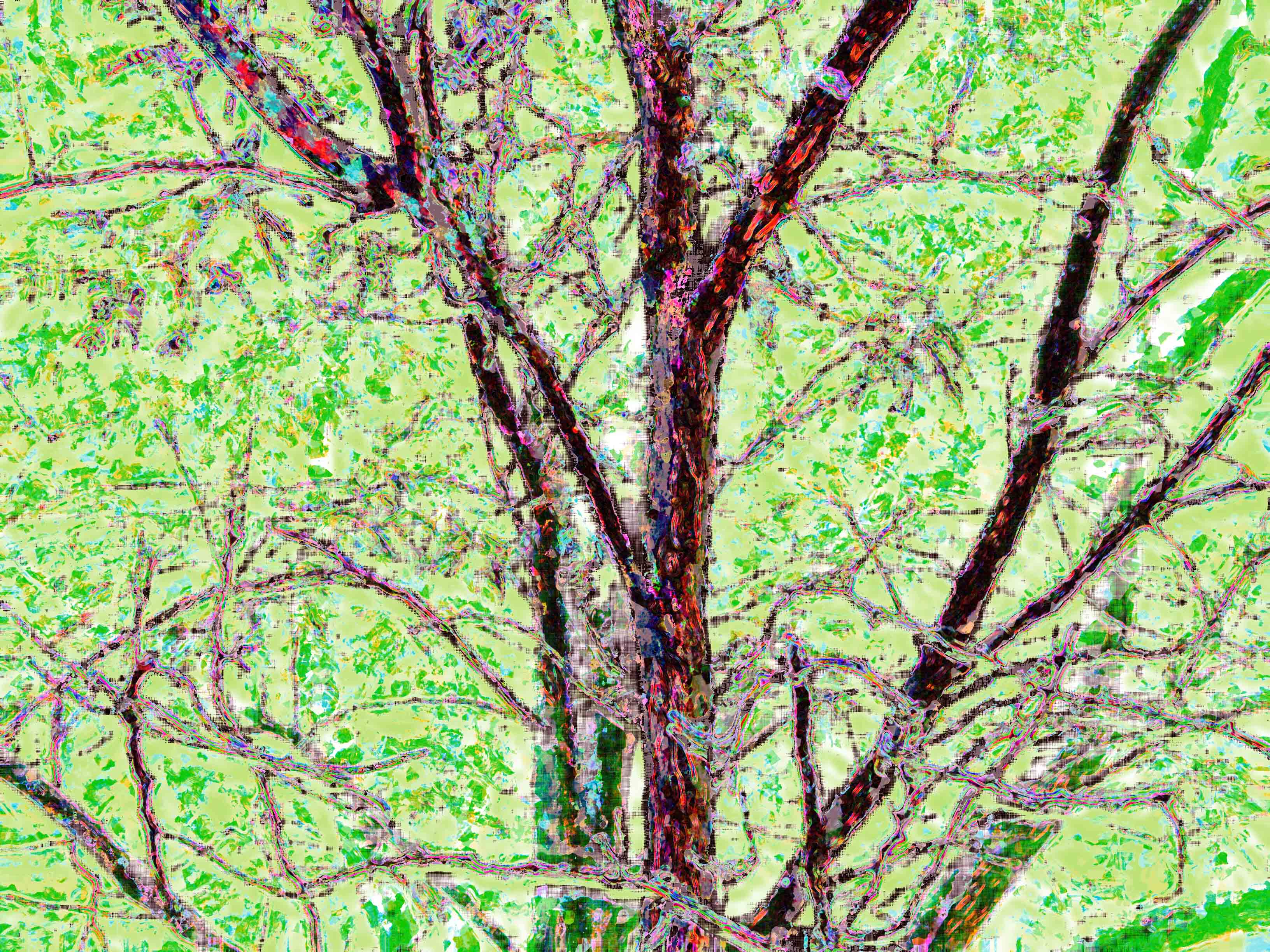 A tree