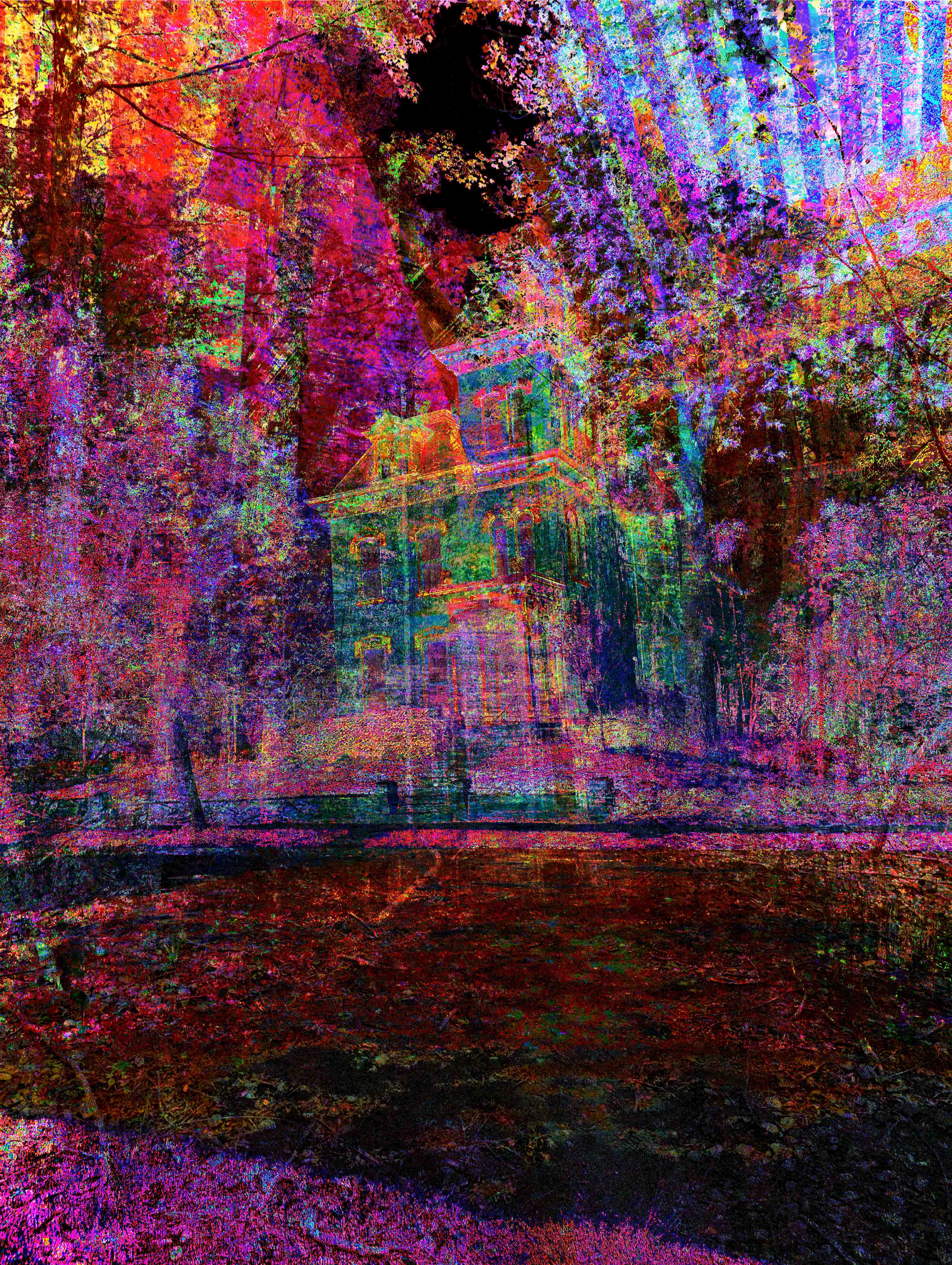 Abstract fusion of Rochester’s Victorian architecture, forest paths, and neon digital textures