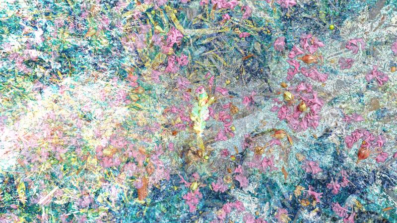 several photos of a washed out wildscape combined in an abstract impressionist style